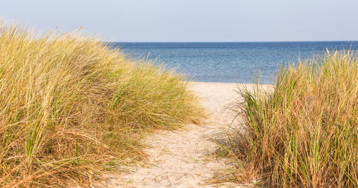 Southern New Jersey - Pediatric - Sale of Practice — Southern New Jersey, NJ