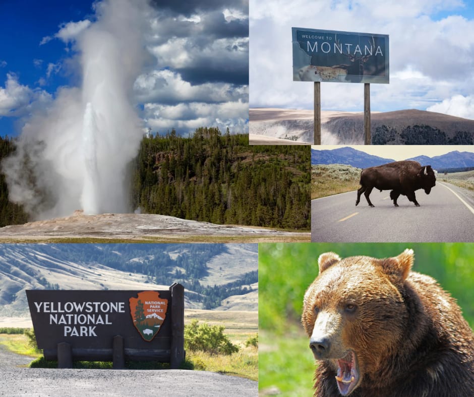 Listing image: General Dentist Associateship in Bozeman, MT (#683609) (ref #683609)