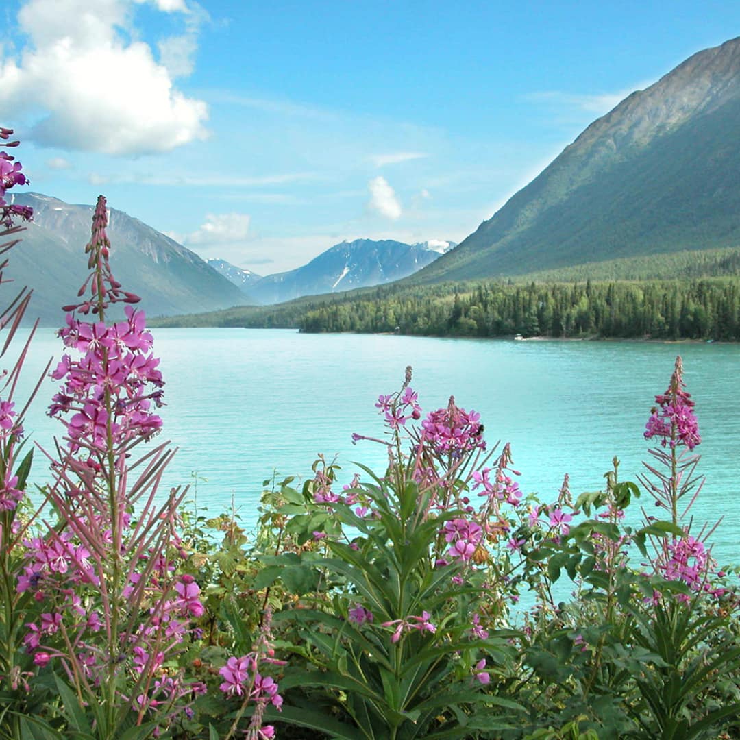 South Central Alaska - General - Associateship — South Central Alaska, AK