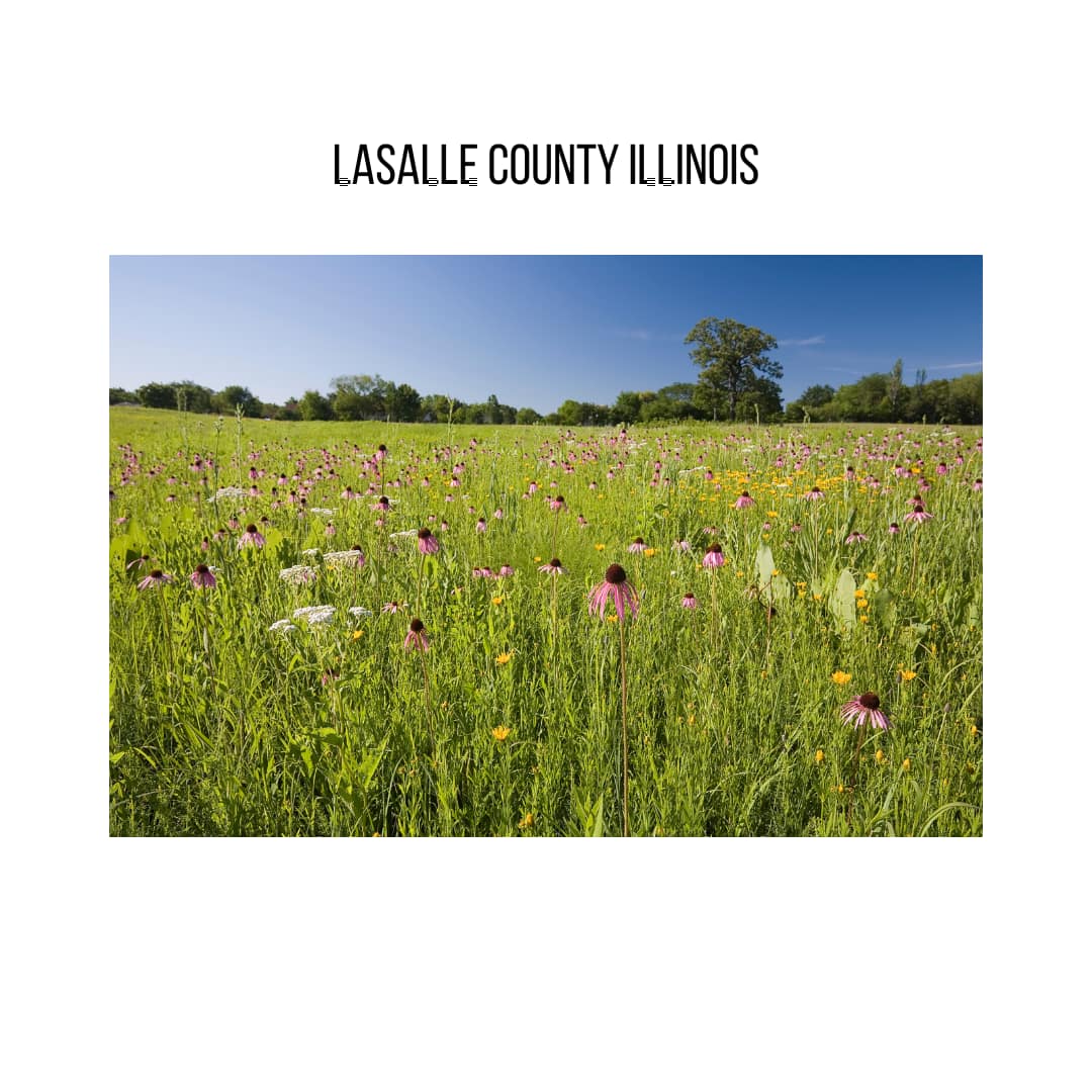 LaSalle County, Northwest Illinois - General - Sale of Practice — LaSalle County, Northwest Illinois, IL