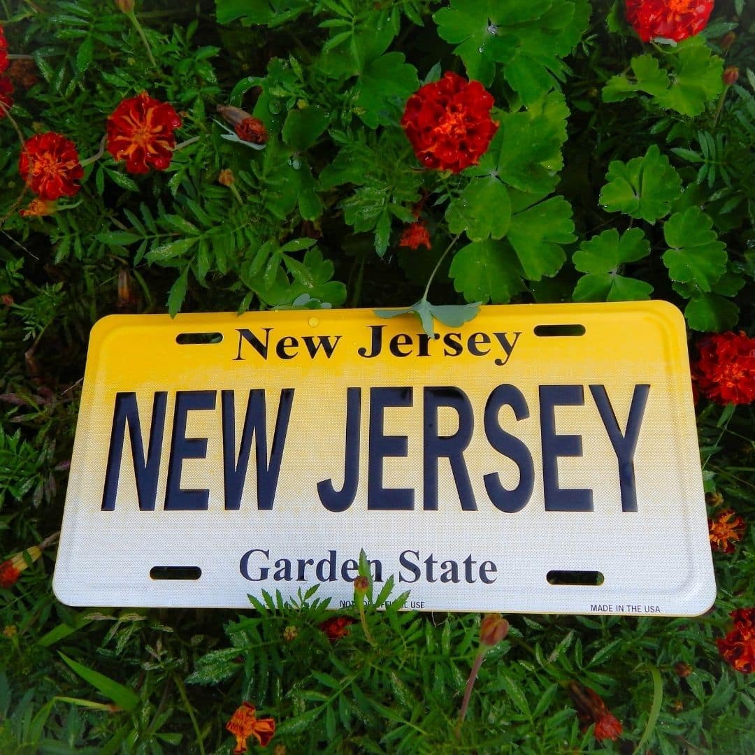 Cherry Hill Area - Pediatric - Associateship — Cherry Hill Area, NJ