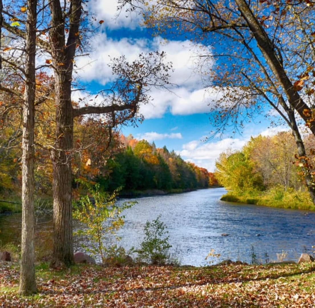 North Central WI - Sale of Practice — North Central WI, WI