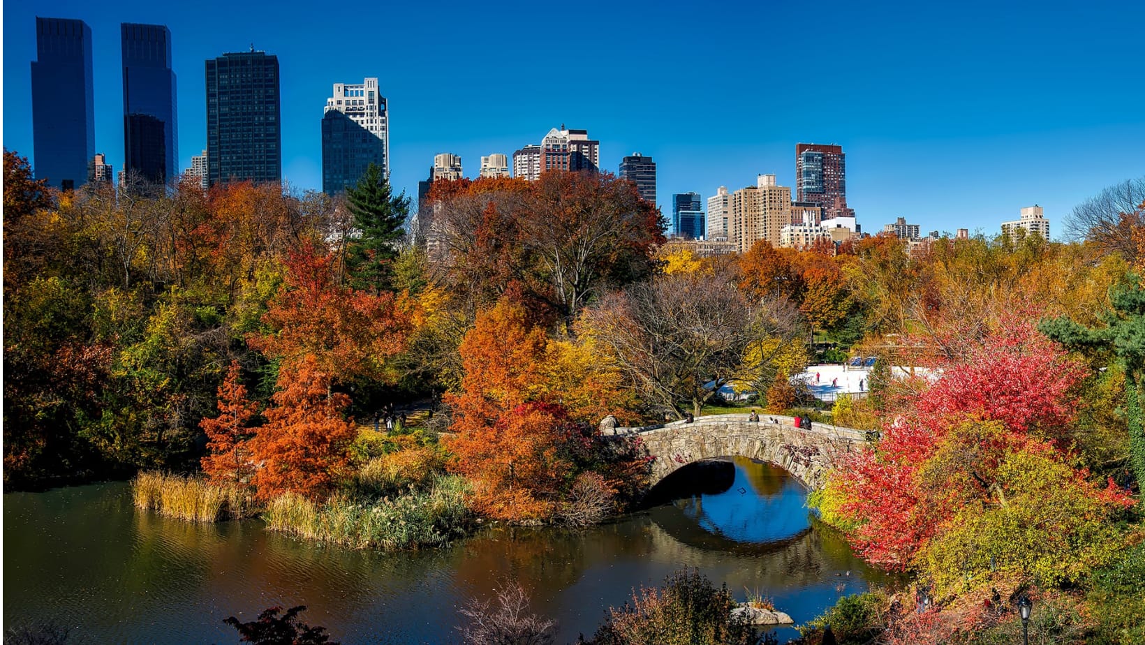 Central Park New York City - General - Associateship — Central Park New York City, NY