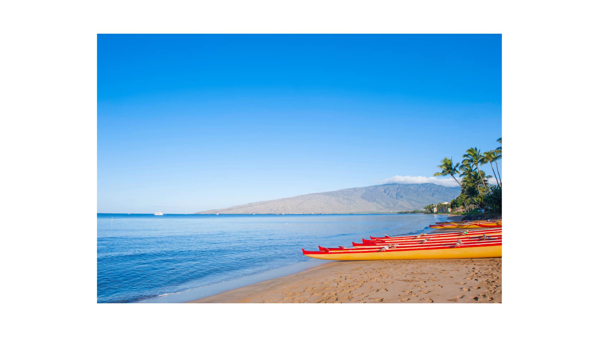 Maui - General - Sale of Practice — Maui, HI