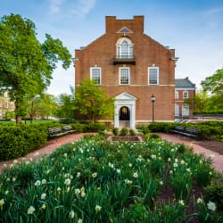 Greater Baltimore, Maryland - Endodontics - Sale of Practice — Greater Baltimore, Maryland, MD