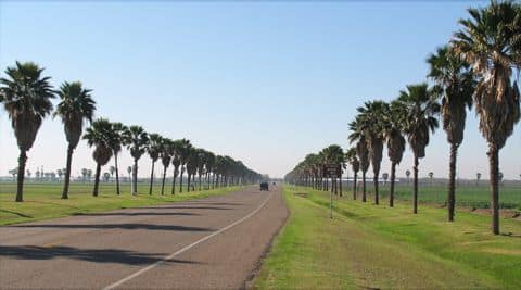 Corpus Christi, Texas - General - Sale of Practice — Corpus Christi, Texas, TX