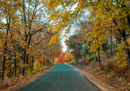 Northwest Minnesota - General - Associateship — Northwest Minnesota, MN