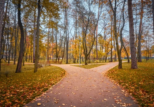 Western Suburbs, Twin Cities - General - Sale of Practice — Western Suburbs, Twin Cities, MN