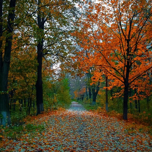 Western Minnesota - Oral Surgery - Associateship — Western Minnesota, MN