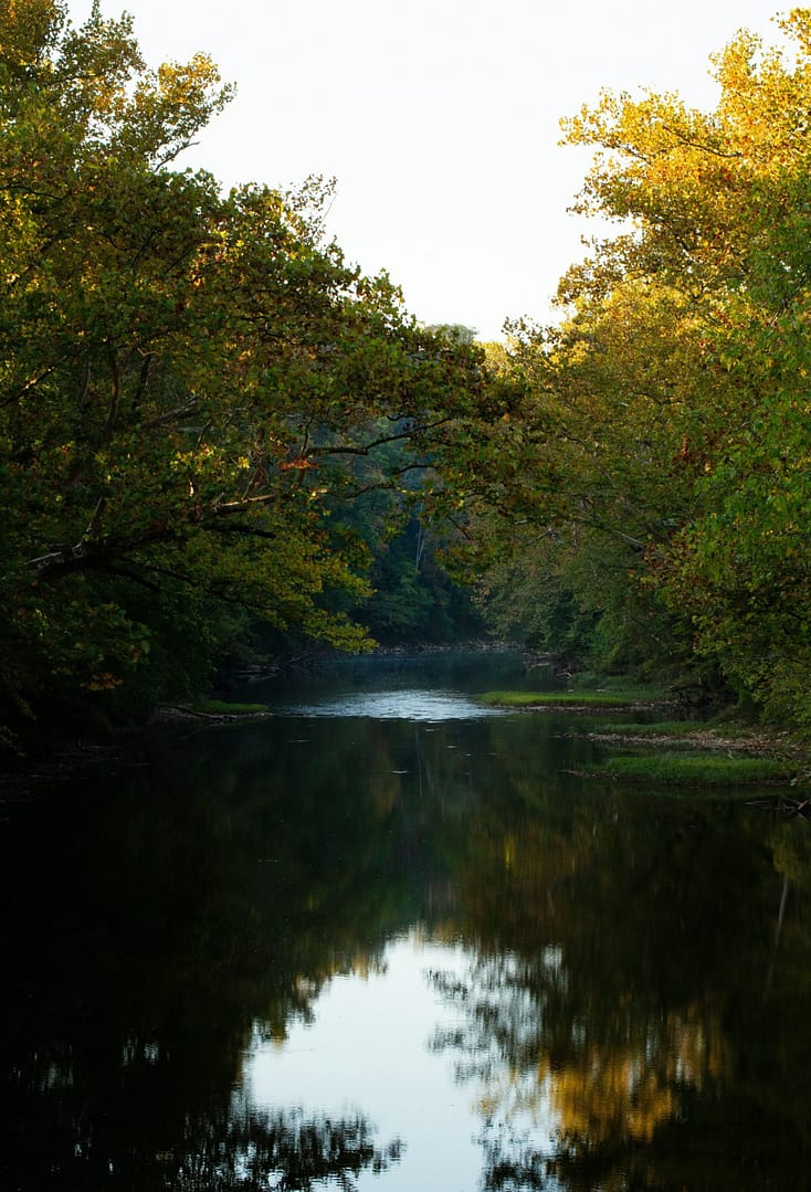 Southern Indiana/Louisville - General - Sale of Practice — Southern Indiana/Louisville, IN