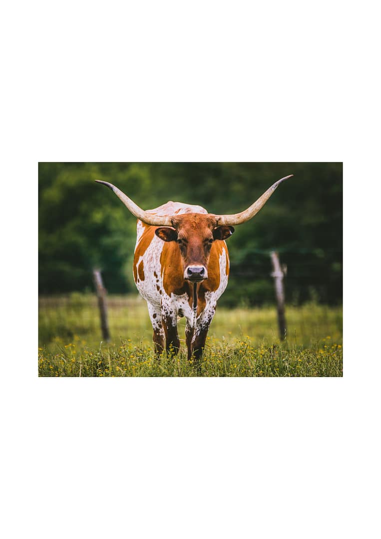 San Antonio, Texas - General - Sale of Practice — San Antonio, Texas, TX