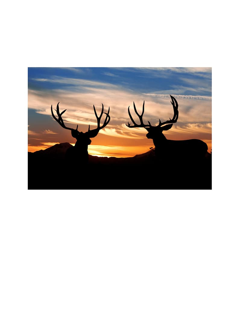 Kingsville Area - General - Sale of Practice — Kingsville Area, TX
