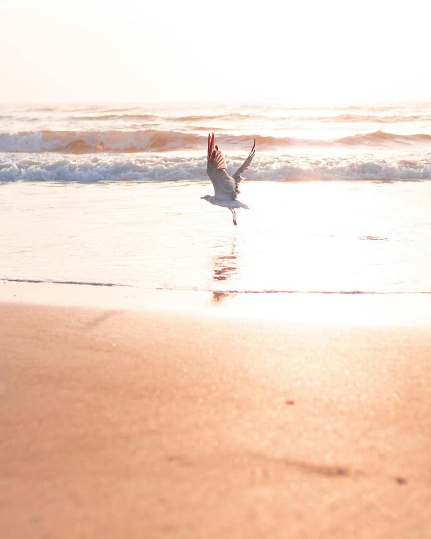 Vero Beach, FL - General - Associateship — Vero Beach, FL, FL