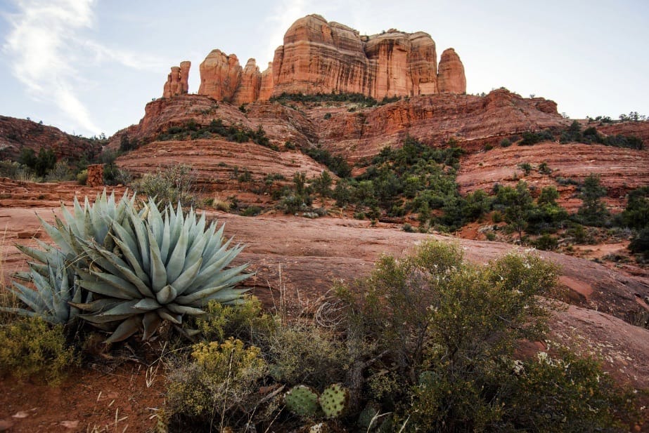 Eastern Arizona - General - Sale of Practice — Eastern Arizona, AZ