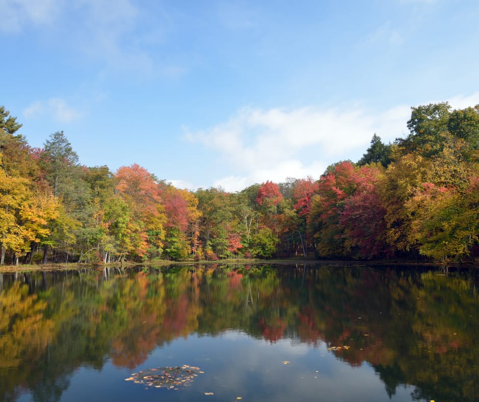 Tannersville, Pennsylvania - General - Associateship — Tannersville, Pennsylvania, PA