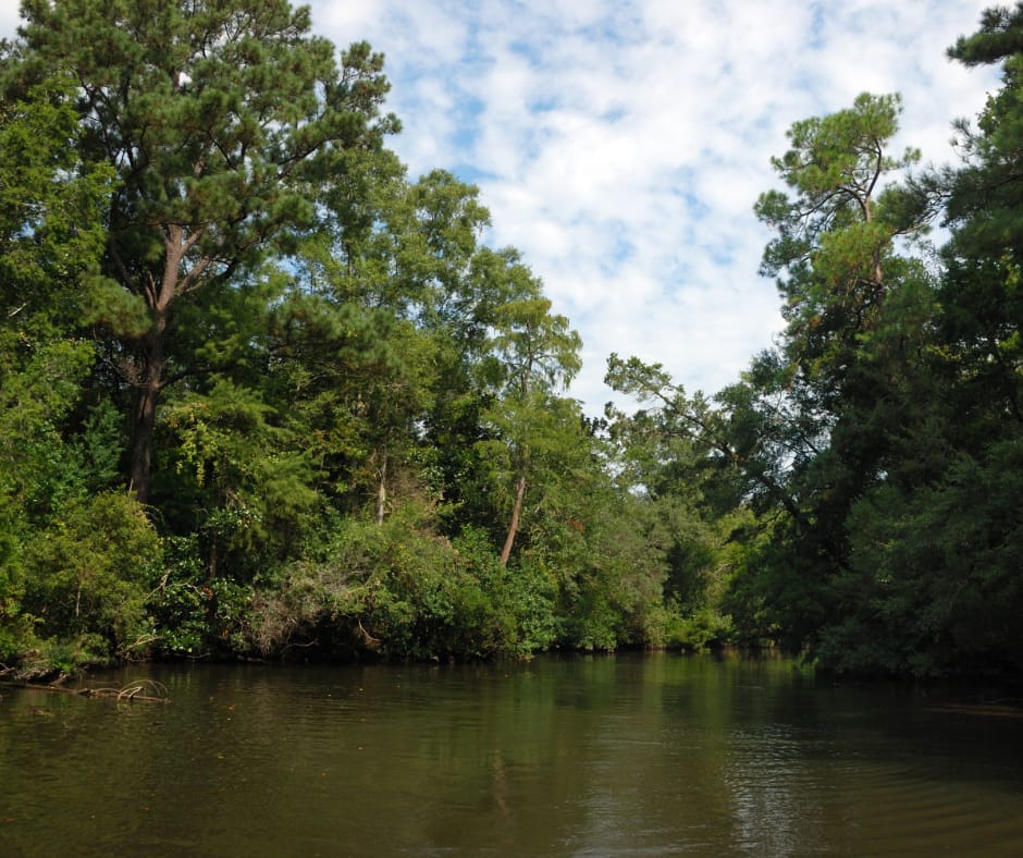 Baldwin County, Alabama - General - Associateship — Baldwin County, Alabama, AL