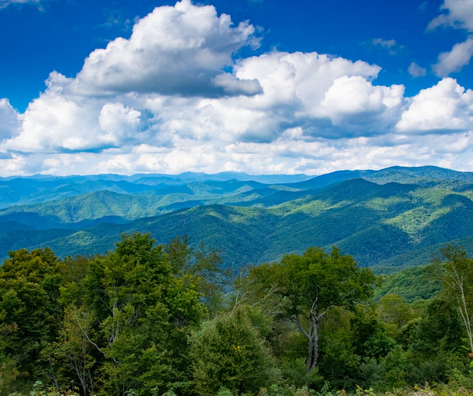 North Georgia - 30 Mins from Chattanooga - General - Sale of Practice — North Georgia - 30 Mins from Chattanooga, GA