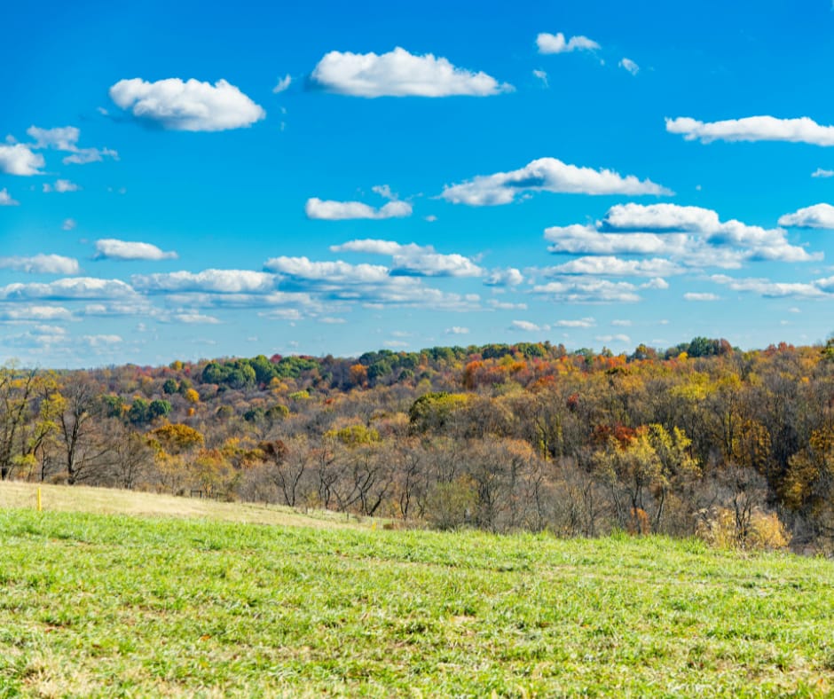 Berks County, PA - General - Sale of Practice — Berks County, PA, PA