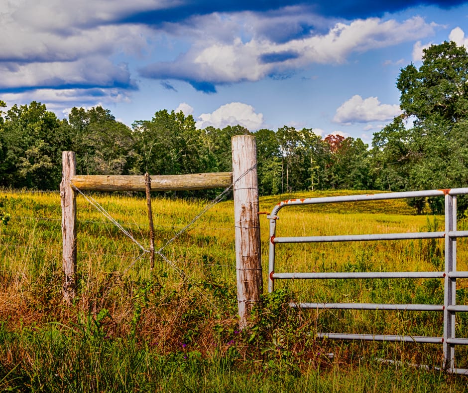 Southeast Alabama - General - Sale of Practice, Partnership, Associateship — Southeast Alabama, AL