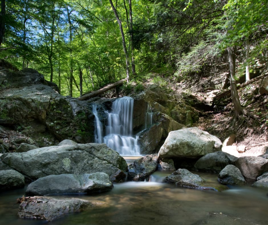 Chattanooga, Tennessee - Pediatric - Associateship — Chattanooga, Tennessee, TN