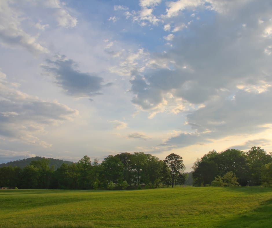 Jackson, Tennessee Area - General - Sale of Practice, Partnership — Jackson, Tennessee Area, TN