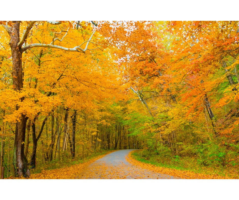 Northern Indiana - General - Sale of Practice — Northern Indiana, IN