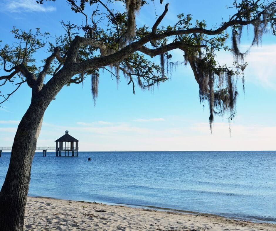 New Orleans - North Shore - Sale of Practice — New Orleans - North Shore, LA