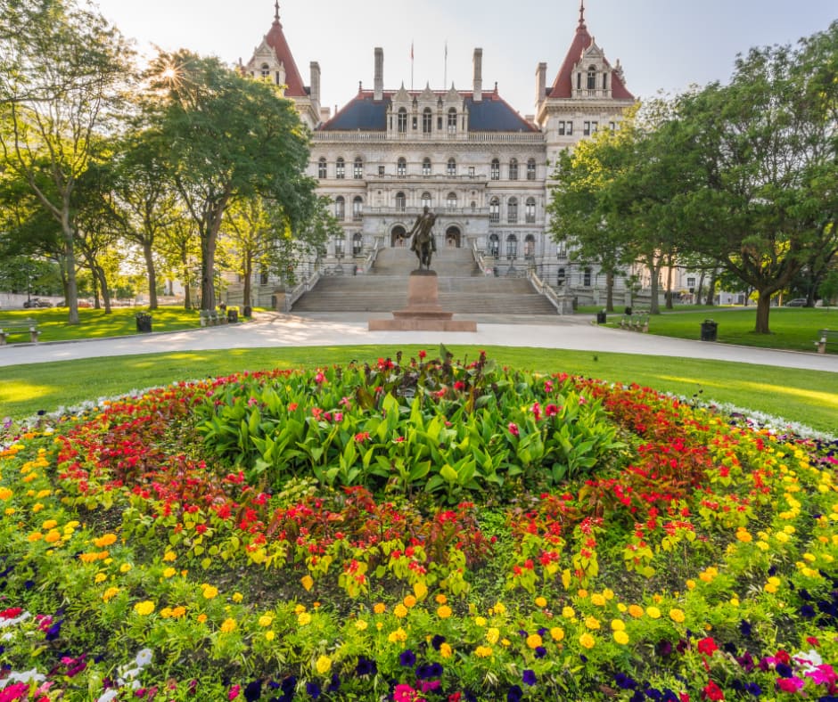 Upstate, NY (Northeast Albany) - General - Sale of Practice — Upstate, NY (Northeast Albany), NY