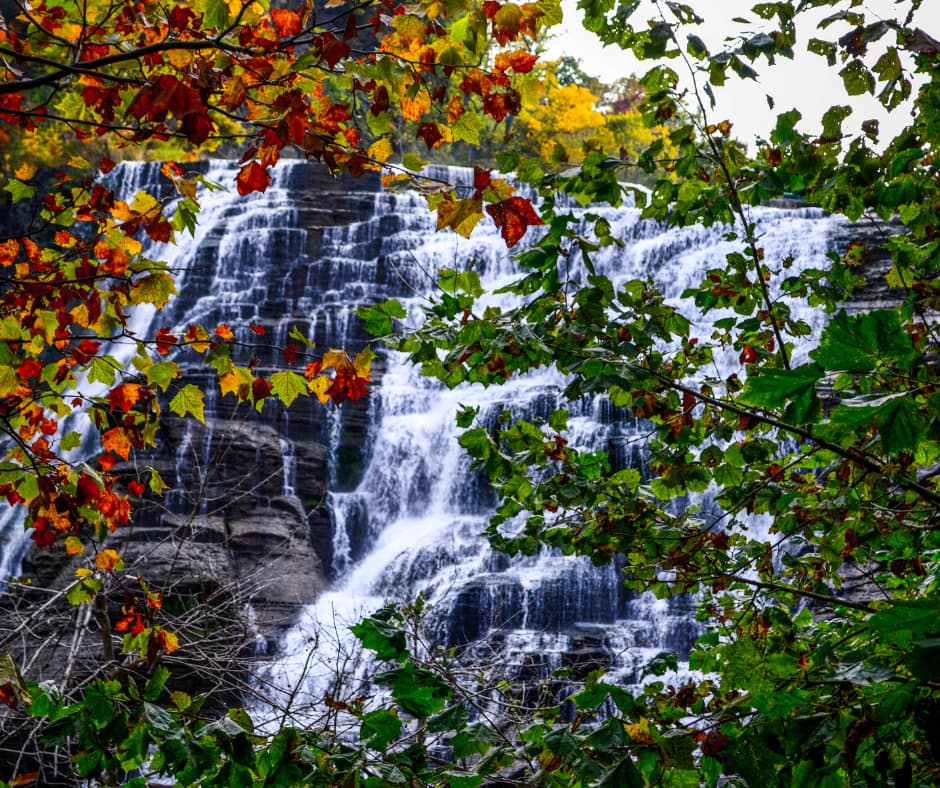 Finger Lakes, New York - General - Sale of Practice — Finger Lakes, New York, NY
