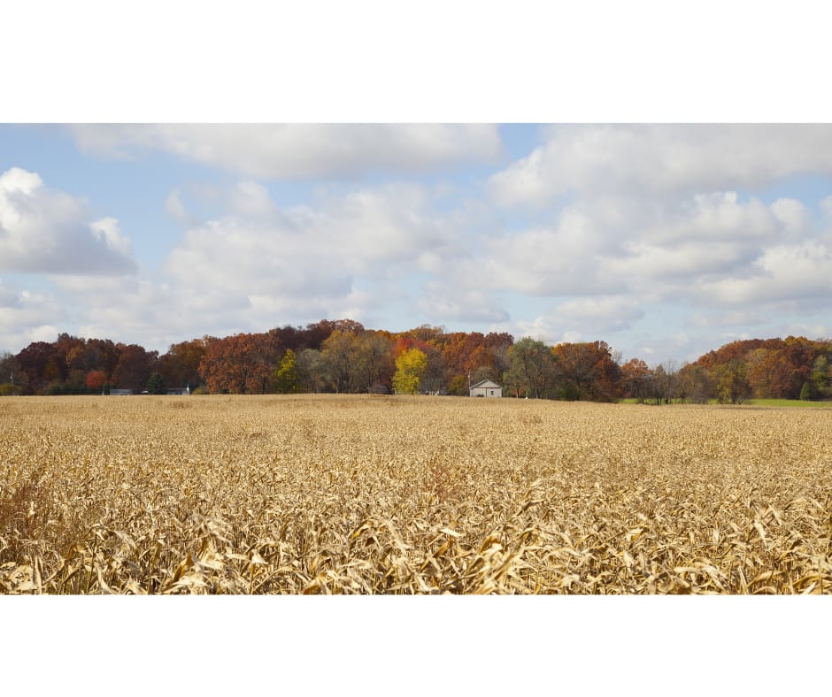 Kokomo Indiana - General - Sale of Practice — Kokomo Indiana, IN