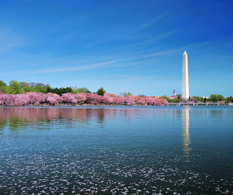 Washington, DC - General - Sale of Practice — Washington, DC, DC