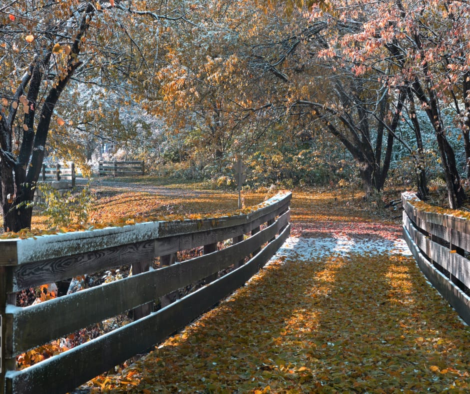 Lafayette, Indiana - General - Associateship — Lafayette, Indiana, IN