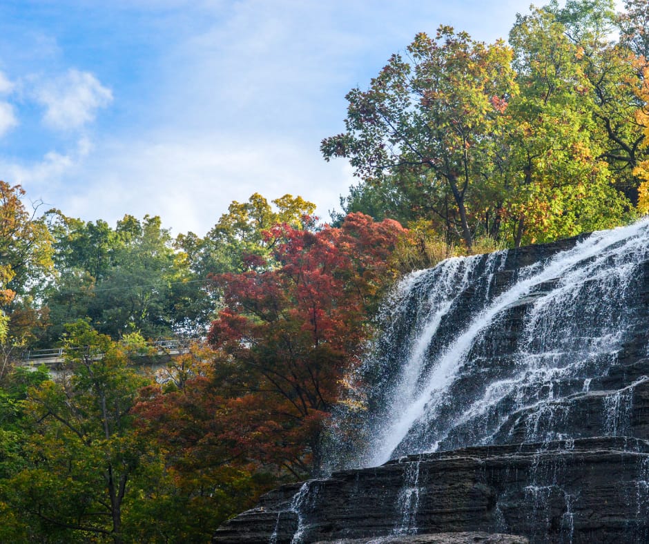 Ithaca, NY - General - Associateship — Ithaca, NY, NY