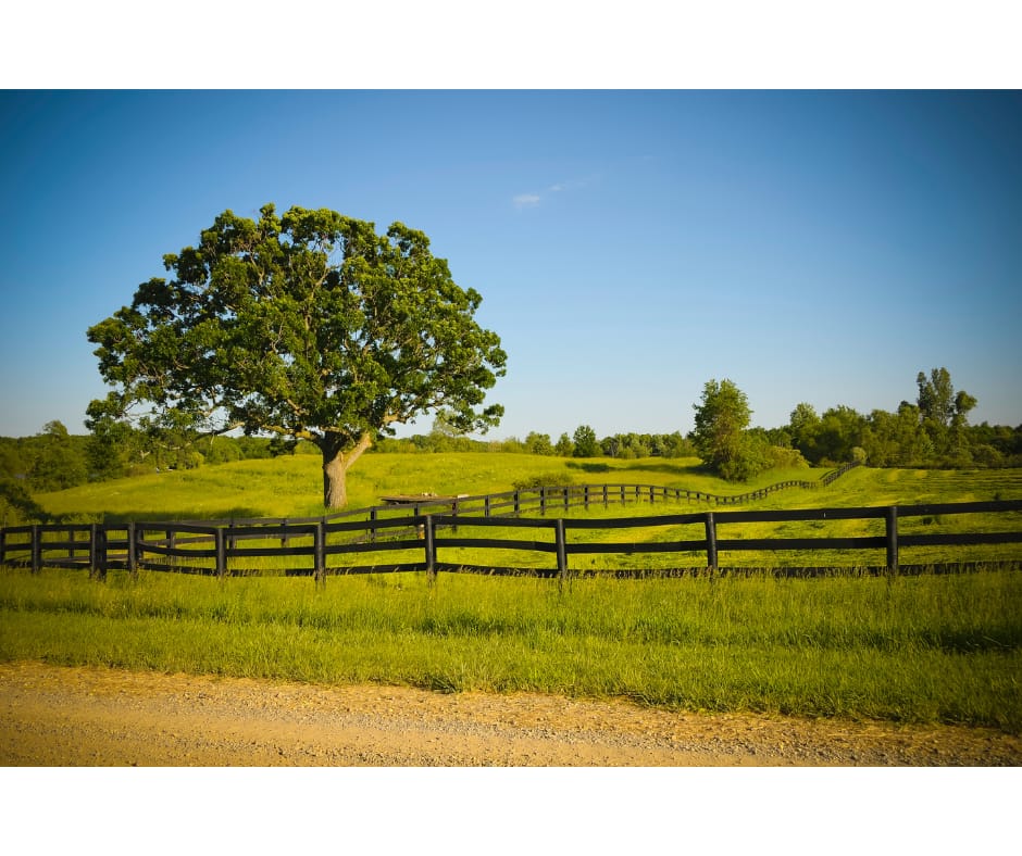 Northern Oakland County, Michigan - General - Sale of Practice — Northern Oakland County, Michigan, MI