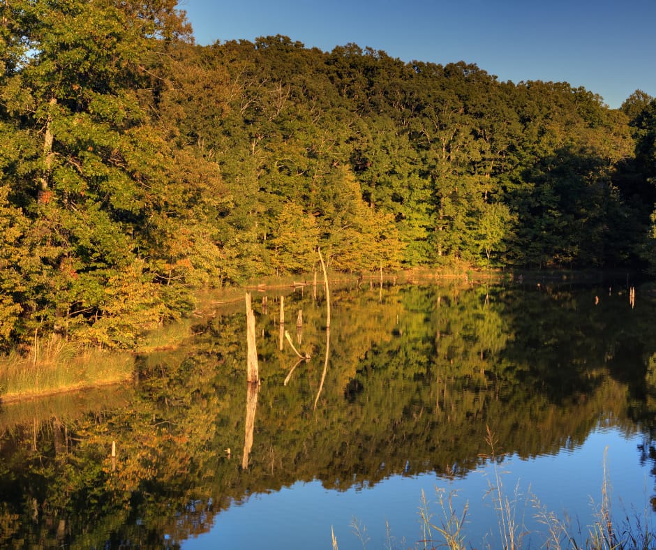 Wynne, Arkansas - Associateship — Wynne, Arkansas, AR