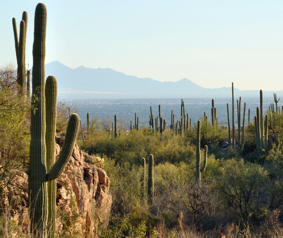 Tucson, Arizona - General - Associateship — Tucson, Arizona, AZ