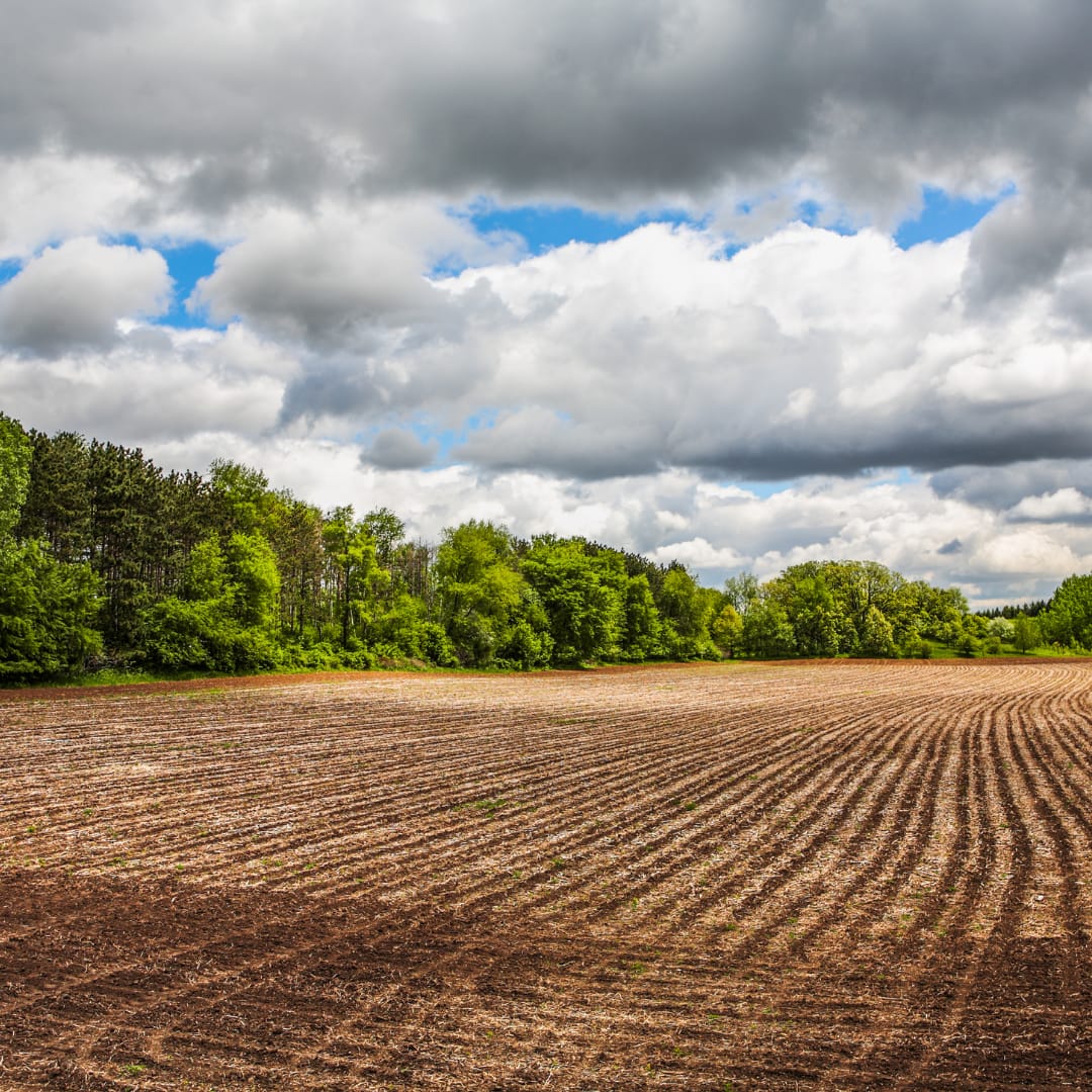 South Central Wisconsin - Endodontics - Associateship — South Central Wisconsin, WI