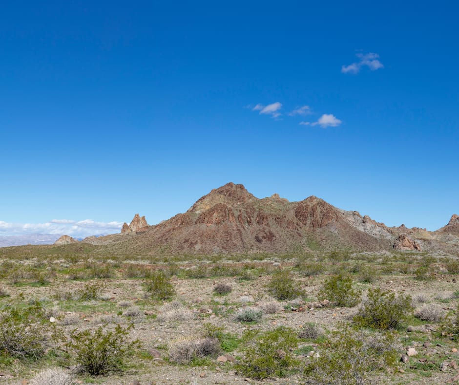 Kingman, Arizona - General - Associateship — Kingman, Arizona, AZ