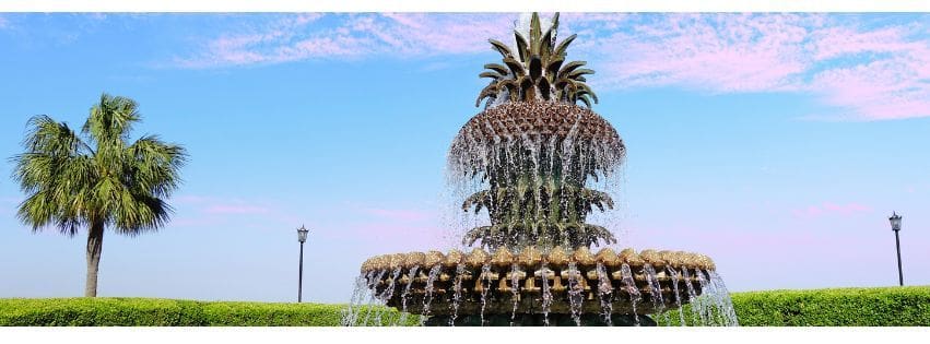 North Charleston, South Carolina - General - Sale of Practice — North Charleston, South Carolina, SC