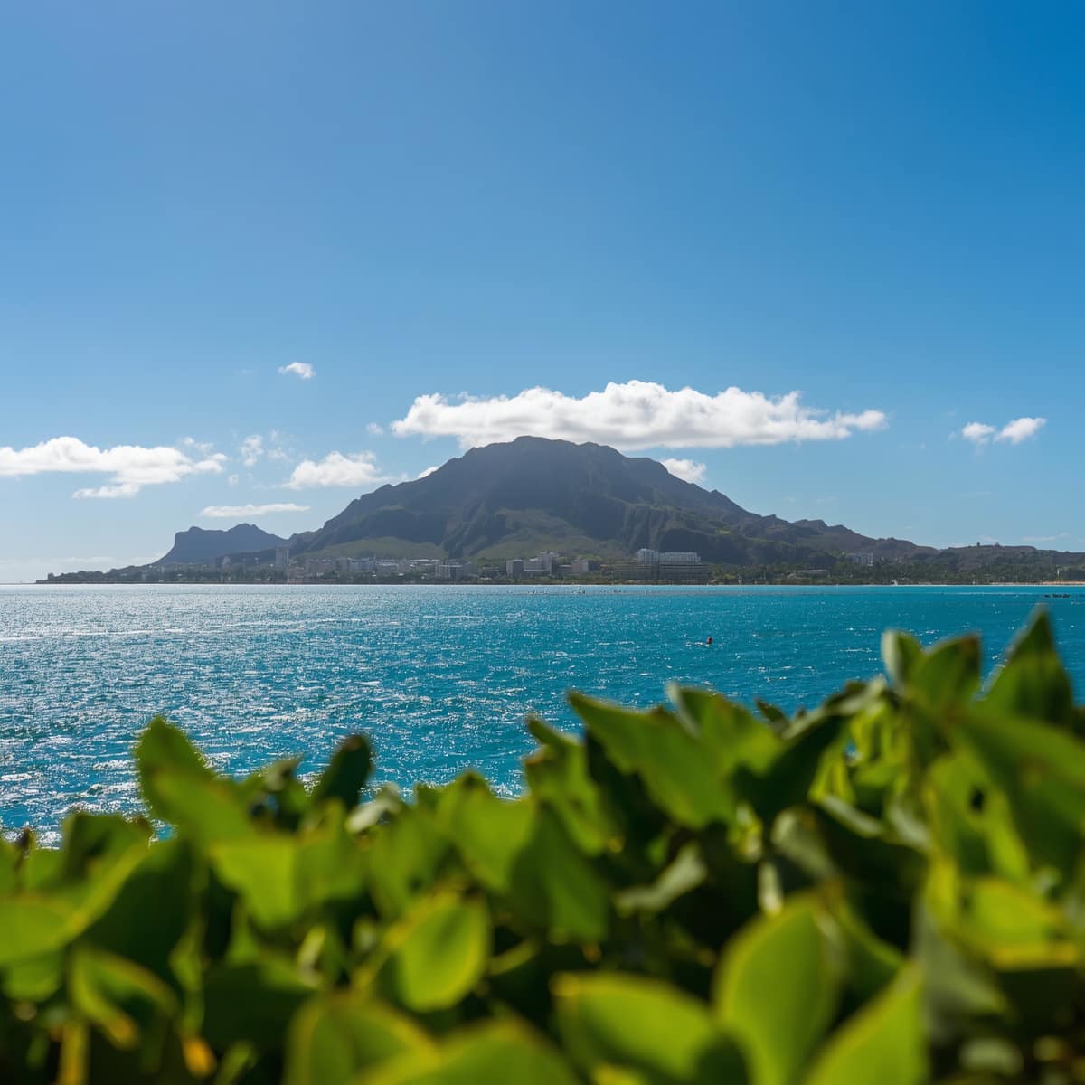 O'ahu, Honolulu Region - General - Sale of Practice — O'ahu, Honolulu Region, HI