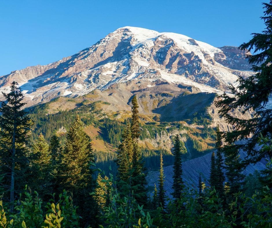 Arlington, WA - General - Associateship — Arlington, WA, WA