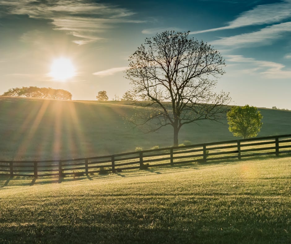 Stanford, Kentucky - General - Associateship — Stanford, Kentucky, KY