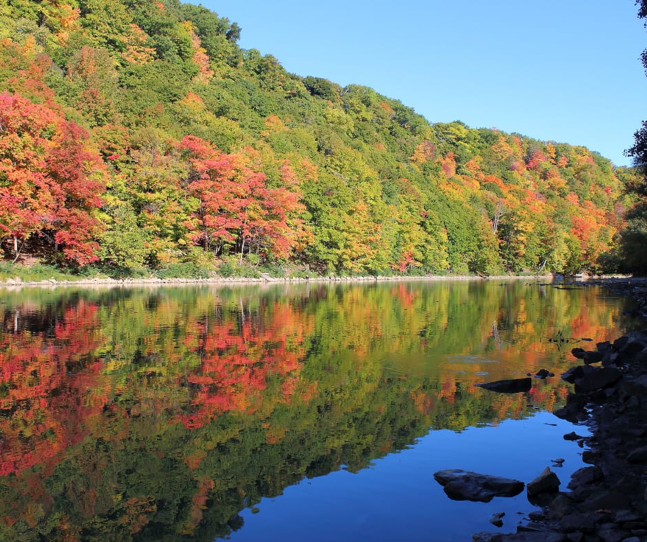 Ontario County, New York - General - Associateship — Ontario County, New York, NY