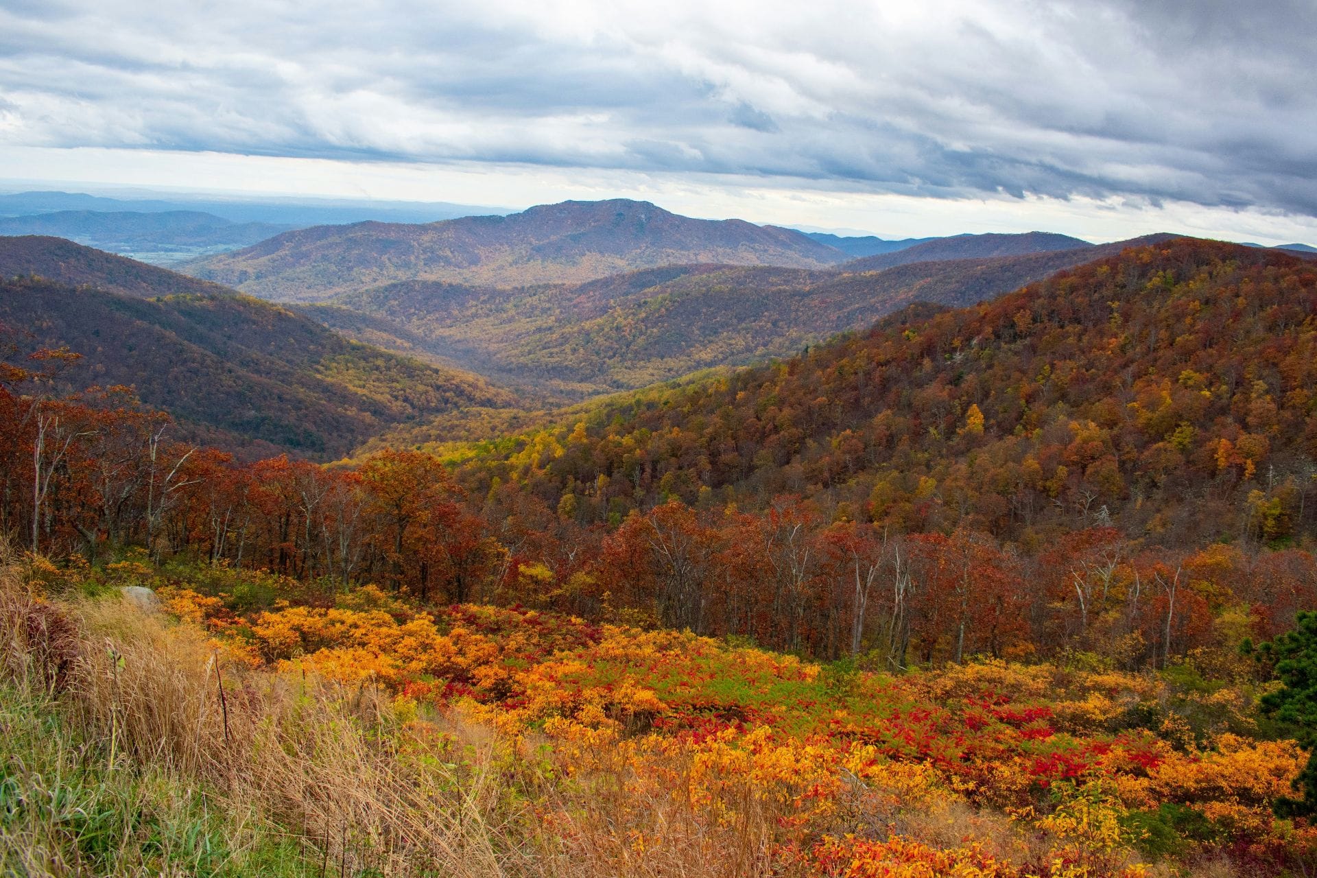 Roanoke, Virginia - Pediatric - Sale of Practice — Roanoke, Virginia, VA