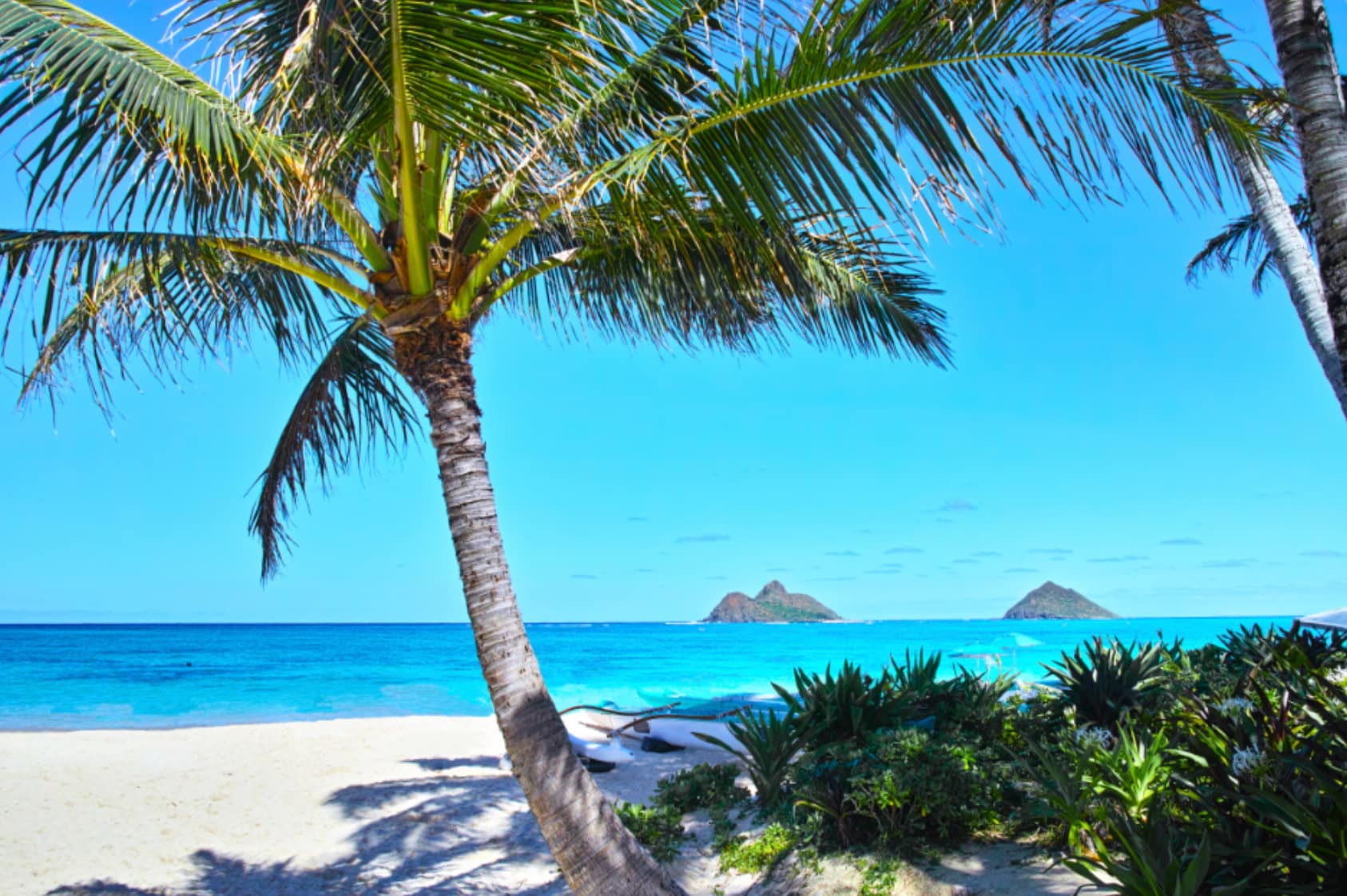 O'ahu, Westside Region - General - Sale of Practice — O'ahu, Westside Region, HI