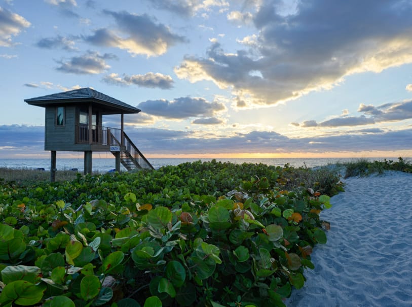 West Delray, FL - General - Sale of Practice — West Delray, FL, FL