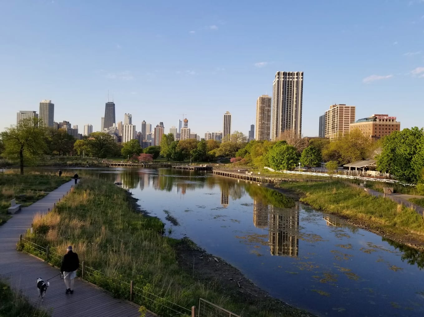 South suburb - Chicago - General - Sale of Practice — South suburb - Chicago, IL