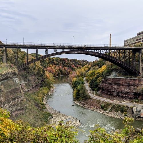 Rochester (30 Minutes East), New York - General - Sale of Practice — Rochester (30 Minutes East), New York, NY