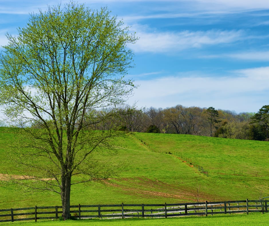 Hardeman County, Tennessee - General - Sale of Practice — Hardeman County, Tennessee, TN