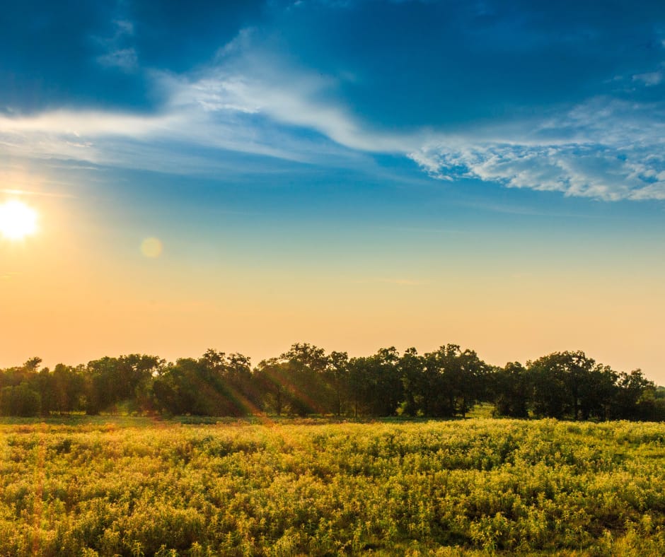 Mt. Pleasant, Texas - General - Associateship — Mt. Pleasant, Texas, TX